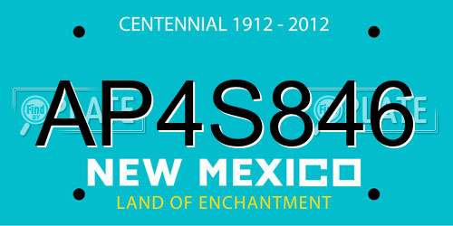 AP4S846 New Mexico License Plate