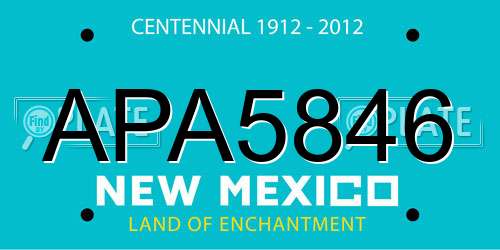 APA5846 New Mexico License Plate