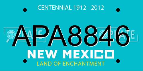 APA8846 New Mexico License Plate