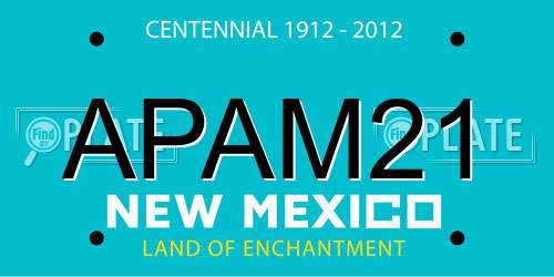 APAM21 New Mexico License Plate