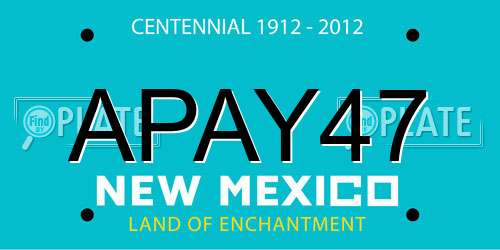 APAY47 New Mexico License Plate