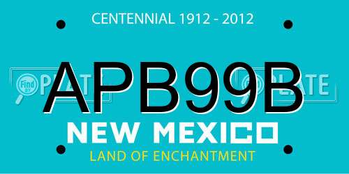 APB99B New Mexico License Plate
