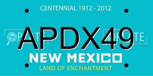 APDX49 New Mexico License Plate