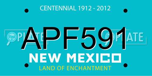 APF591 New Mexico License Plate