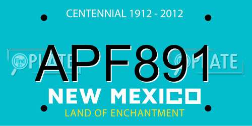 APF891 New Mexico License Plate