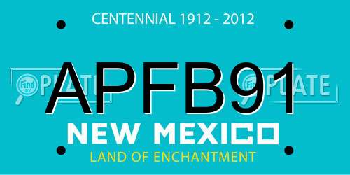 APFB91 New Mexico License Plate