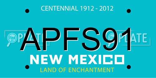 APFS91 New Mexico License Plate