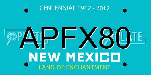 APFX80 New Mexico License Plate