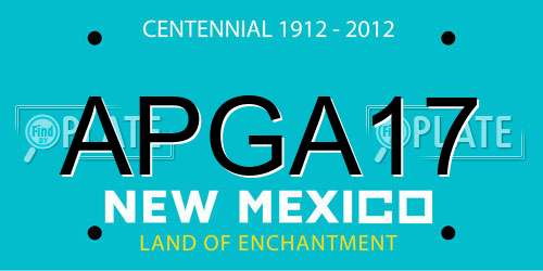 APGA17 New Mexico License Plate