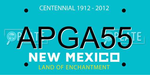 APGA55 New Mexico License Plate