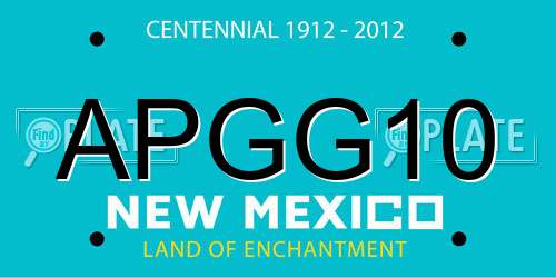 APGG10 New Mexico License Plate