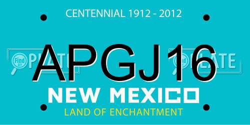 APGJ16 New Mexico License Plate