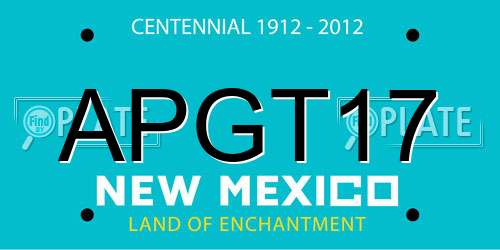 APGT17 New Mexico License Plate