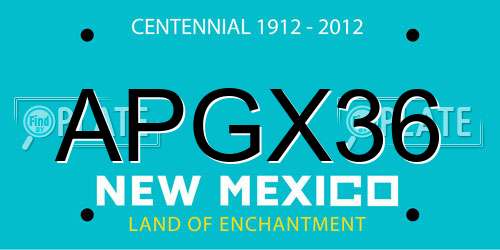 APGX36 New Mexico License Plate