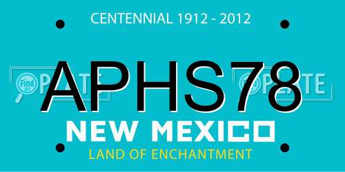 APHS78 New Mexico License Plate