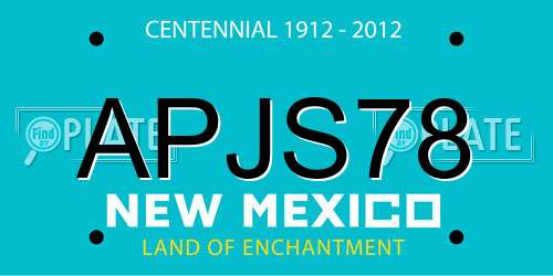 APJS78 New Mexico License Plate