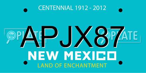 APJX87 New Mexico License Plate