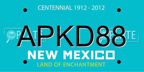 APKD88 New Mexico License Plate