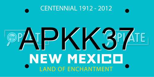 APKK37 New Mexico License Plate