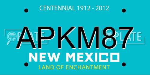 APKM87 New Mexico License Plate
