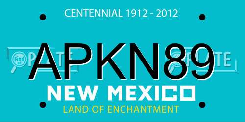 APKN89 New Mexico License Plate