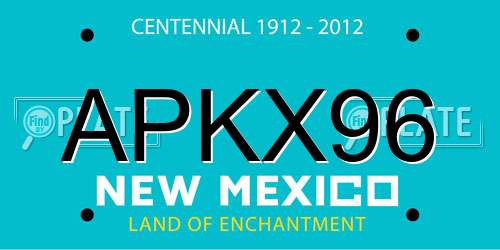 APKX96 New Mexico License Plate