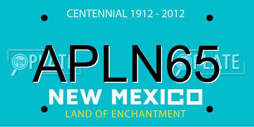 APLN65 New Mexico License Plate