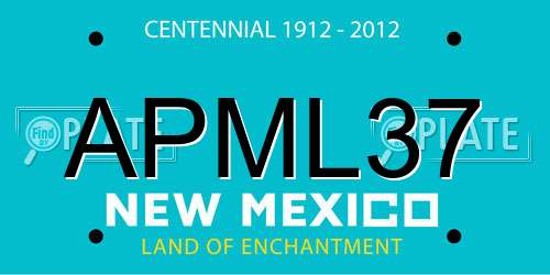 APML37 New Mexico License Plate