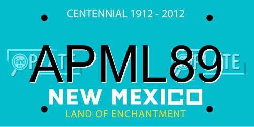 APML89 New Mexico License Plate