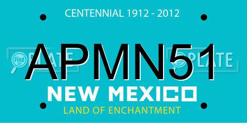 APMN51 New Mexico License Plate