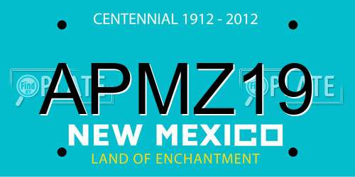 APMZ19 New Mexico License Plate