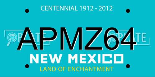 APMZ64 New Mexico License Plate
