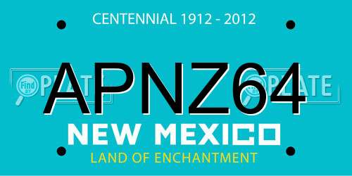 APNZ64 New Mexico License Plate