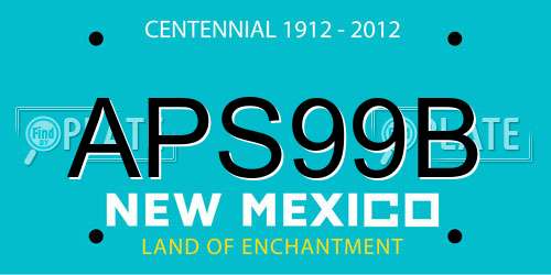 APS99B New Mexico License Plate