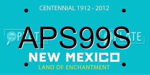 APS99S New Mexico License Plate