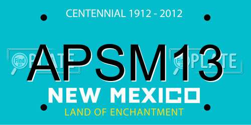 APSM13 New Mexico License Plate