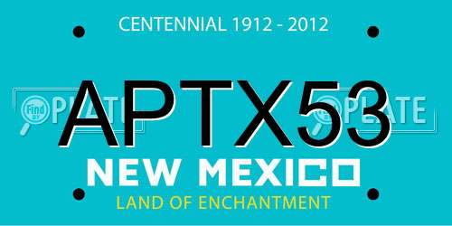 APTX53 New Mexico License Plate