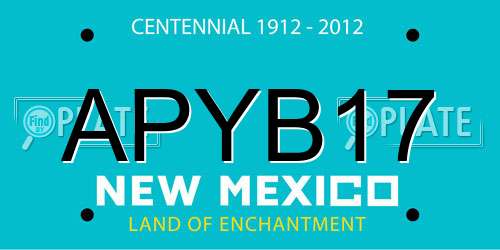 APYB17 New Mexico License Plate