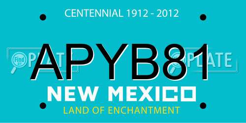 APYB81 New Mexico License Plate