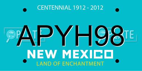 APYH98 New Mexico License Plate