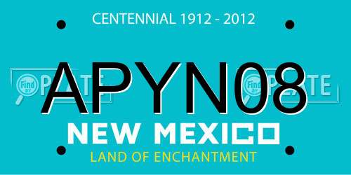 APYN08 New Mexico License Plate