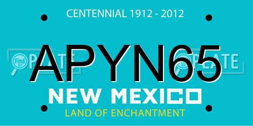 APYN65 New Mexico License Plate