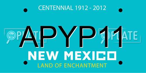 APYP11 New Mexico License Plate