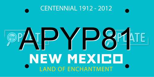 APYP81 New Mexico License Plate