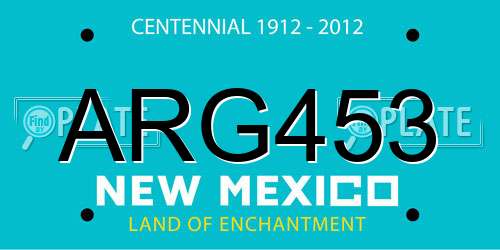 ARG453 New Mexico License Plate