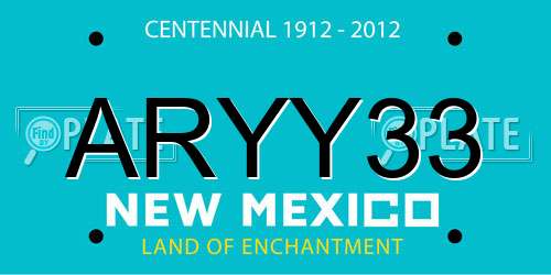 ARYY33 New Mexico License Plate