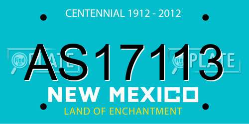 AS17113 New Mexico License Plate