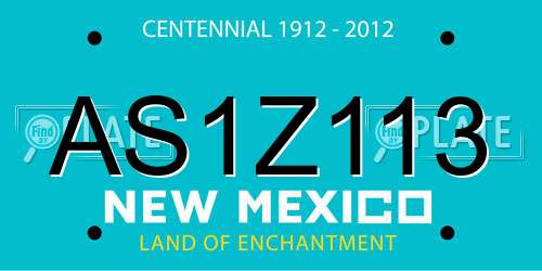 AS1Z113 New Mexico License Plate