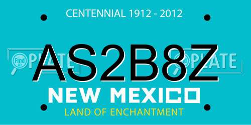 AS2B8Z New Mexico License Plate