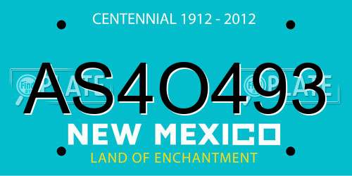 AS4O493 New Mexico License Plate